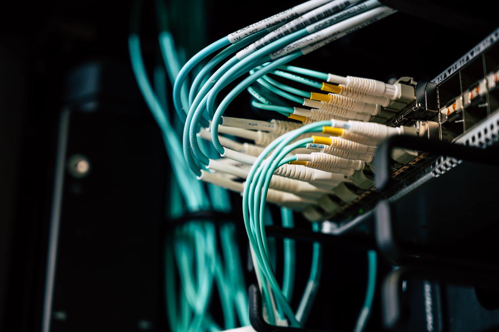 Network cables connected to server hardware in a data centre